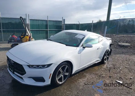 2024 Ford Mustang Ecoboost Fastback z USA, uszkodzony, nr VIN 1FA6P8TH1R5146662